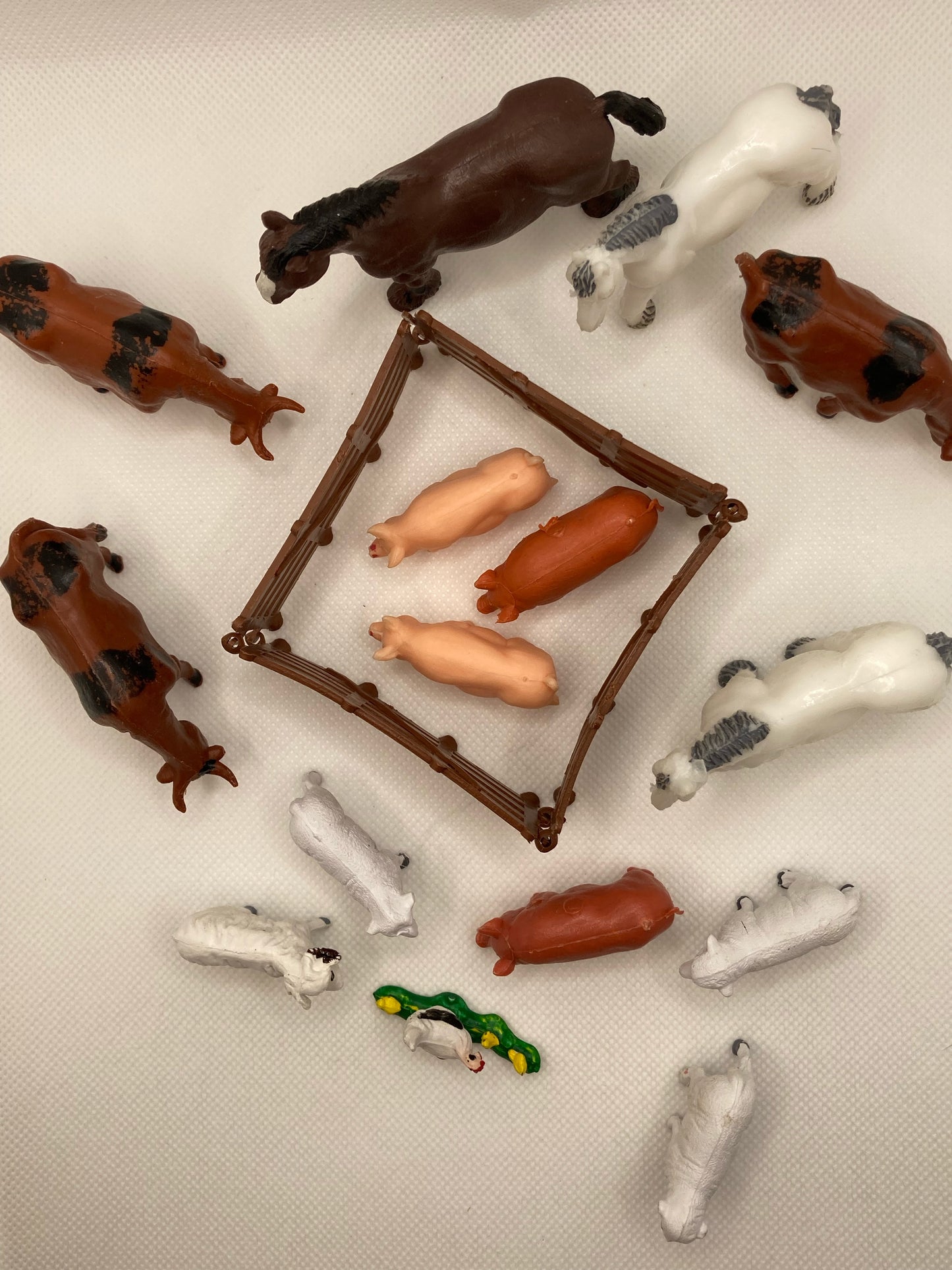 Farm animals